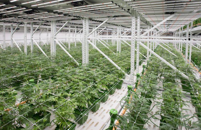 Cannabis Security Systems